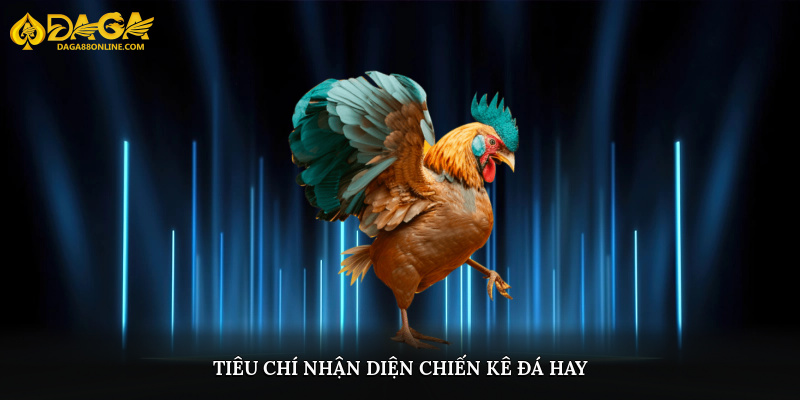 Tiêu chí nhận diện chiến kê đá hay