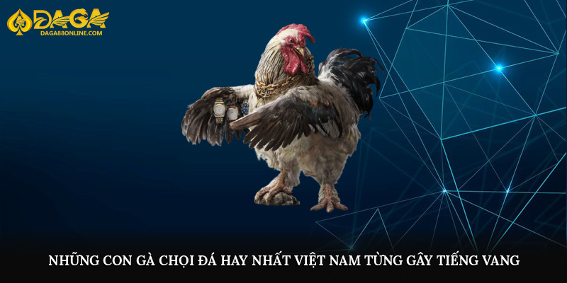 Những dòng gà chọi đá hay nhất Việt Nam từng gây tiếng vang
