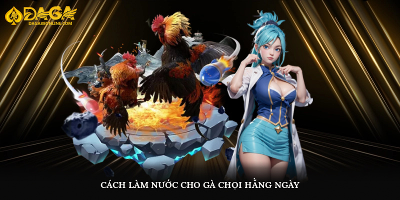 Cách làm nước cho gà chọi hằng ngày