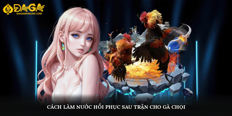 Cách làm nước hồi phục sau trận cho gà chọi