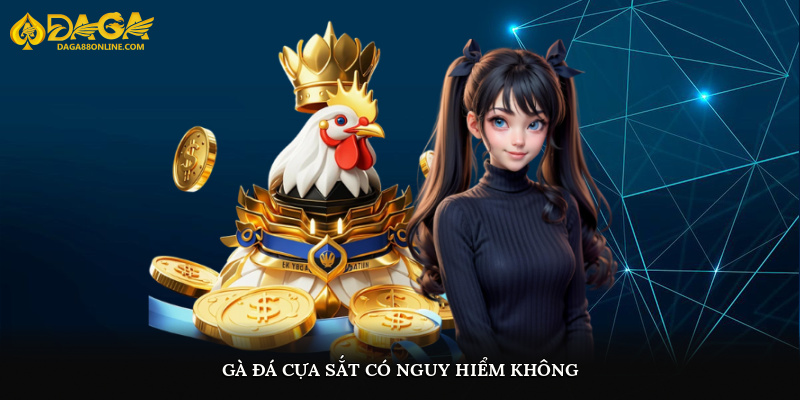 Gà đá cựa sắt có nguy hiểm không?