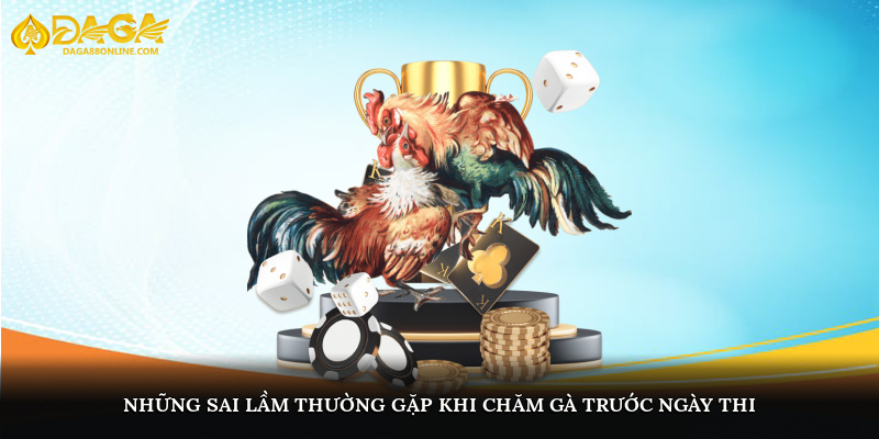 Những sai lầm thường gặp khi chăm gà trước ngày thi